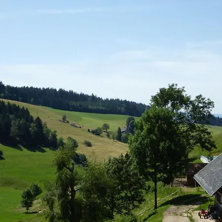 Apartament Luxhof Sankt Märgen
