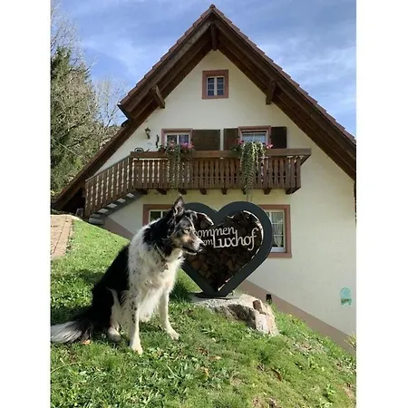 Luxhof Apartament